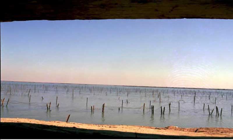 شب های کربلای پنج به روایت سردار فضلی