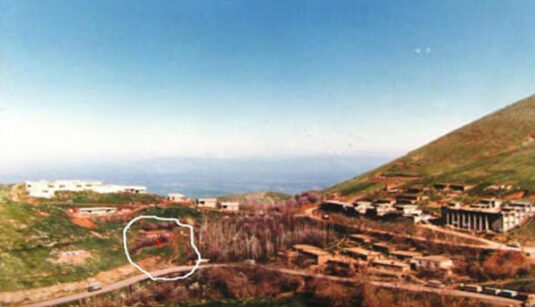 alvaresin-0029