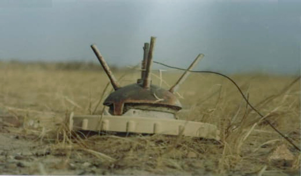 مین جهنده والمر یا والمرا